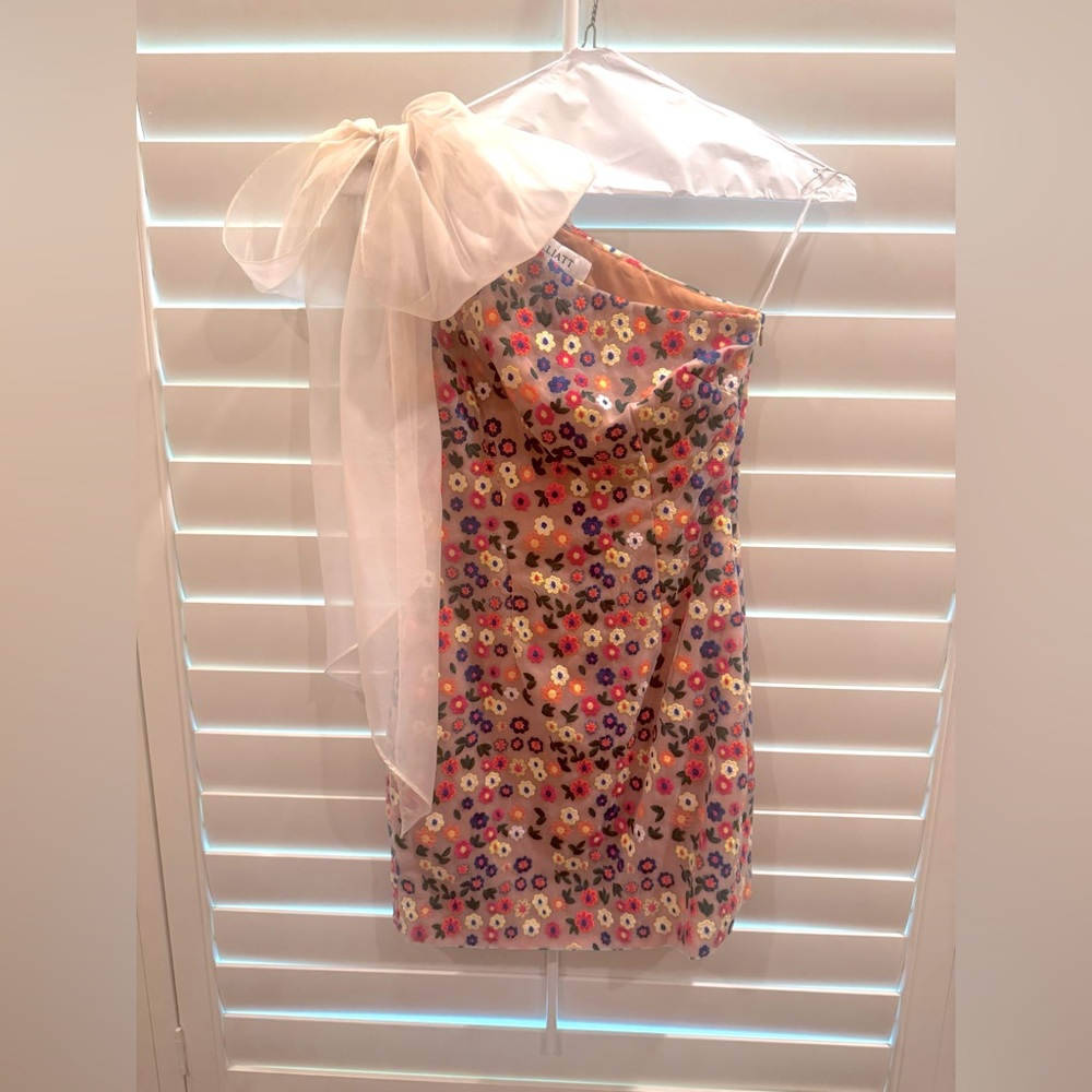 ELLIATT Embroidered One Shoulder shoulder dress
Size XS Adorable